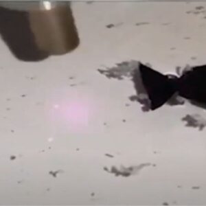 robot baliklar kirlilikle savasiyor denizler ve okyanuslar artik ter temiz olacak FtAC7inN