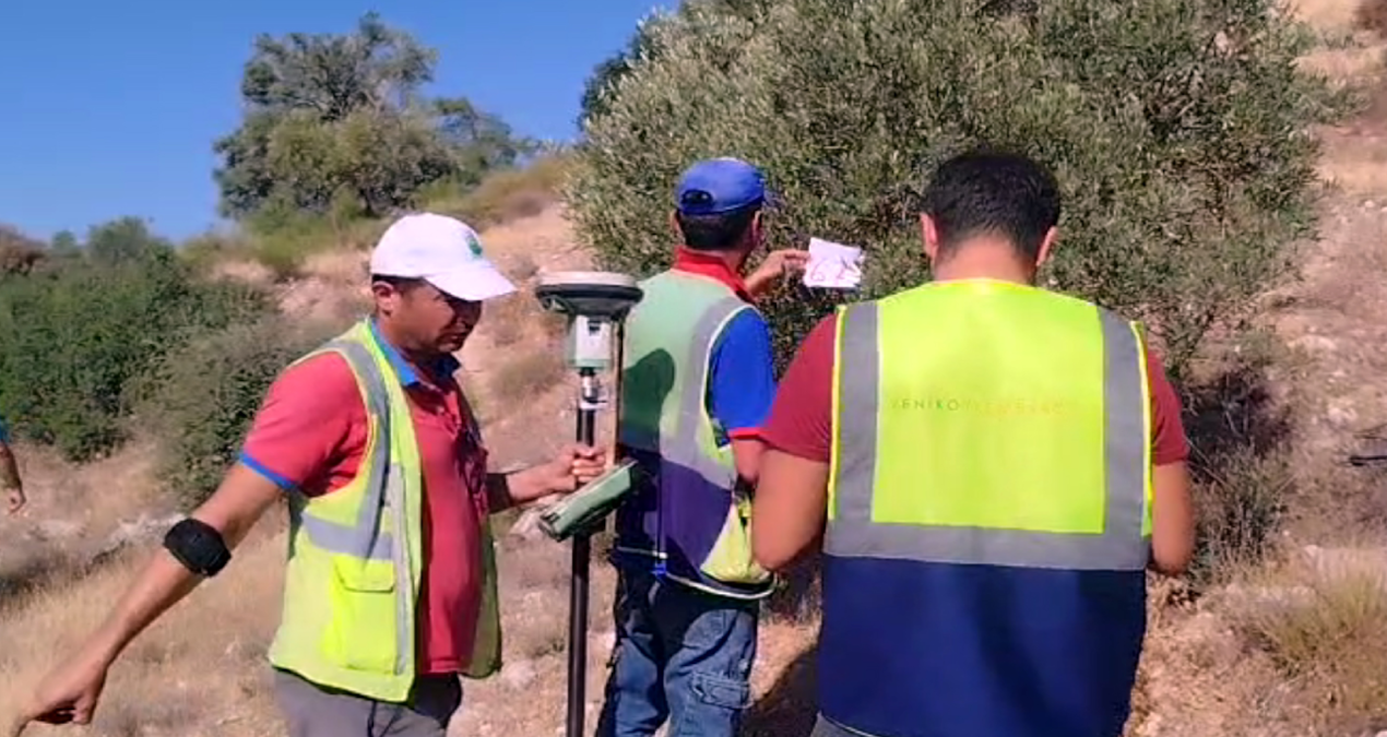 yk enerji akbeleni bitirdi zeytin tarlalarina daldi GyeBOaRN