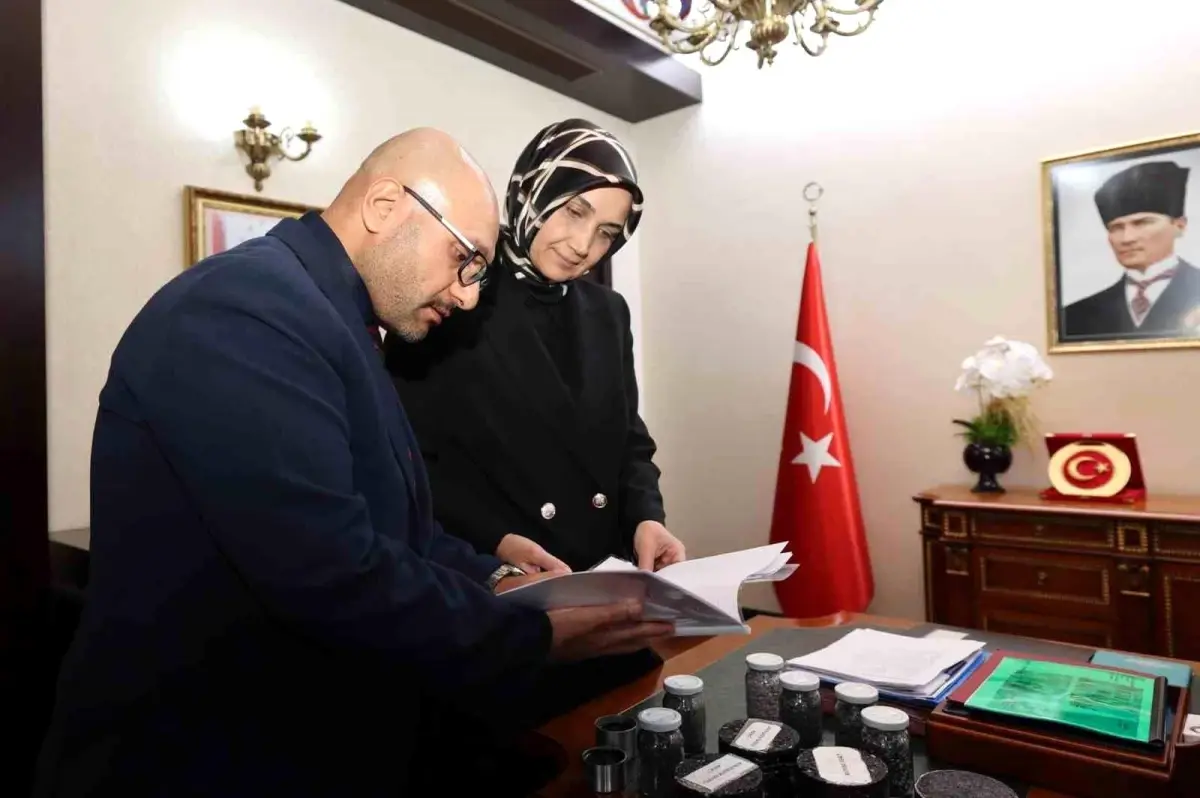 afyonkarahisarda atik plastiklerden asfalt uretimi Bmk6BwKn