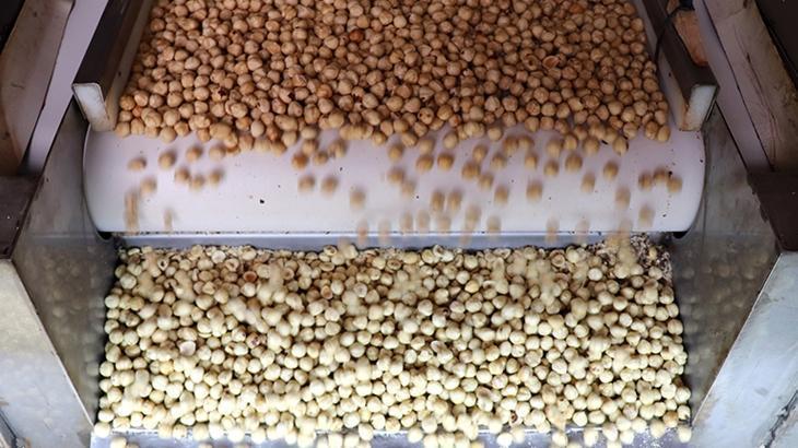 findik ihracatindan 16 milyar dolari askin gelir saglandi 8hE91rGp.jpg