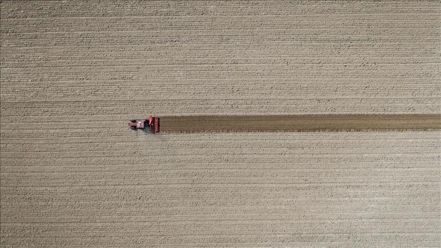 tarim ufe eylulde artti HpBsa7gj.jpg