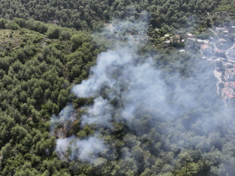 Fethiye’de Orman Yangını: Ekipler Mücadele Ediyor