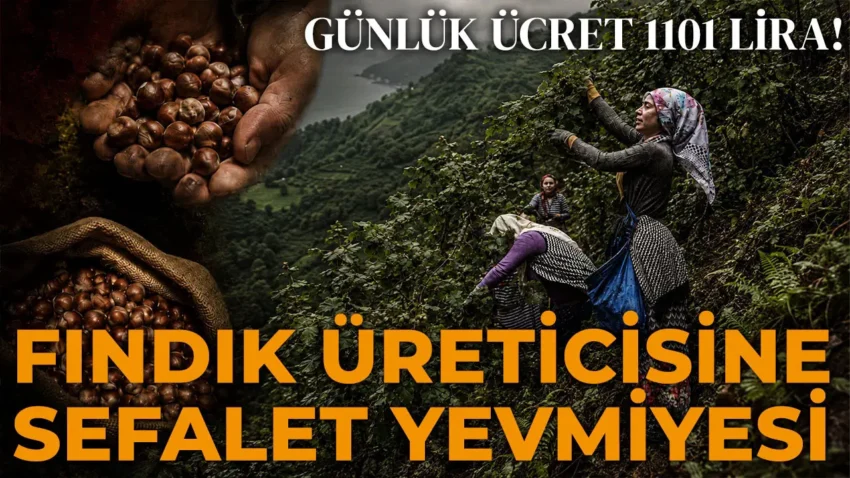 Avrupa 4 gunluk mesaiyi tartisirken karadenizde emege bicilen deger sefalet yevmiyesi 1101 tl xMa2ydlU